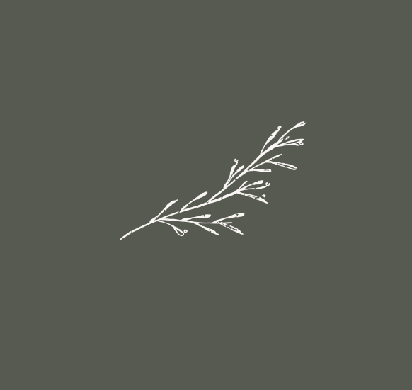 Juniper logo